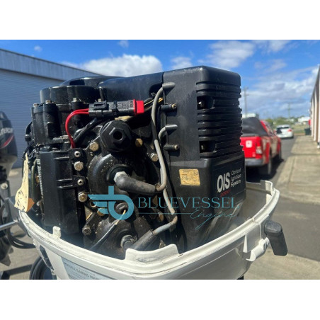 Johnson Ocean Runner 115 HP 2 Stroke Outboard Motor