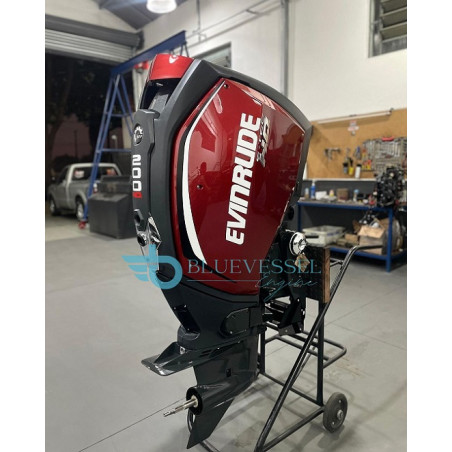 2020 Evinrude 200 HP 2-Stroke Outboard Motors C200FXABA