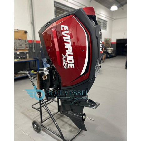 2020 Evinrude 200 HP 2-Stroke Outboard Motors C200FXABA